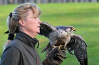 Vogelpark Marlow - Bild vergrößern ...